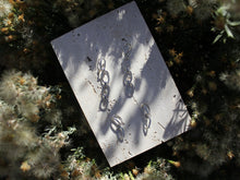 Load image into Gallery viewer, QUAD Links