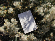 Load image into Gallery viewer, QUAD Links