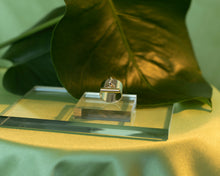 Load image into Gallery viewer, Locked Ring