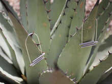 Load image into Gallery viewer, Strata Hoops