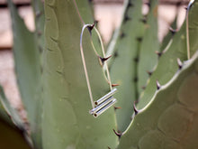 Load image into Gallery viewer, Strata Hoops