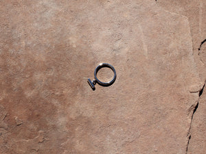 Symmetry Ring